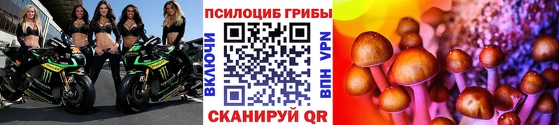 дарк нет официальный сайт  Луховицы  Псилоцибиновые грибы мицелий 